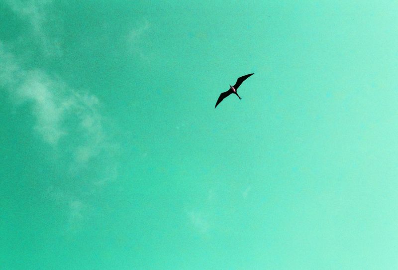 © Onyinye Chi - The Daily Mundane