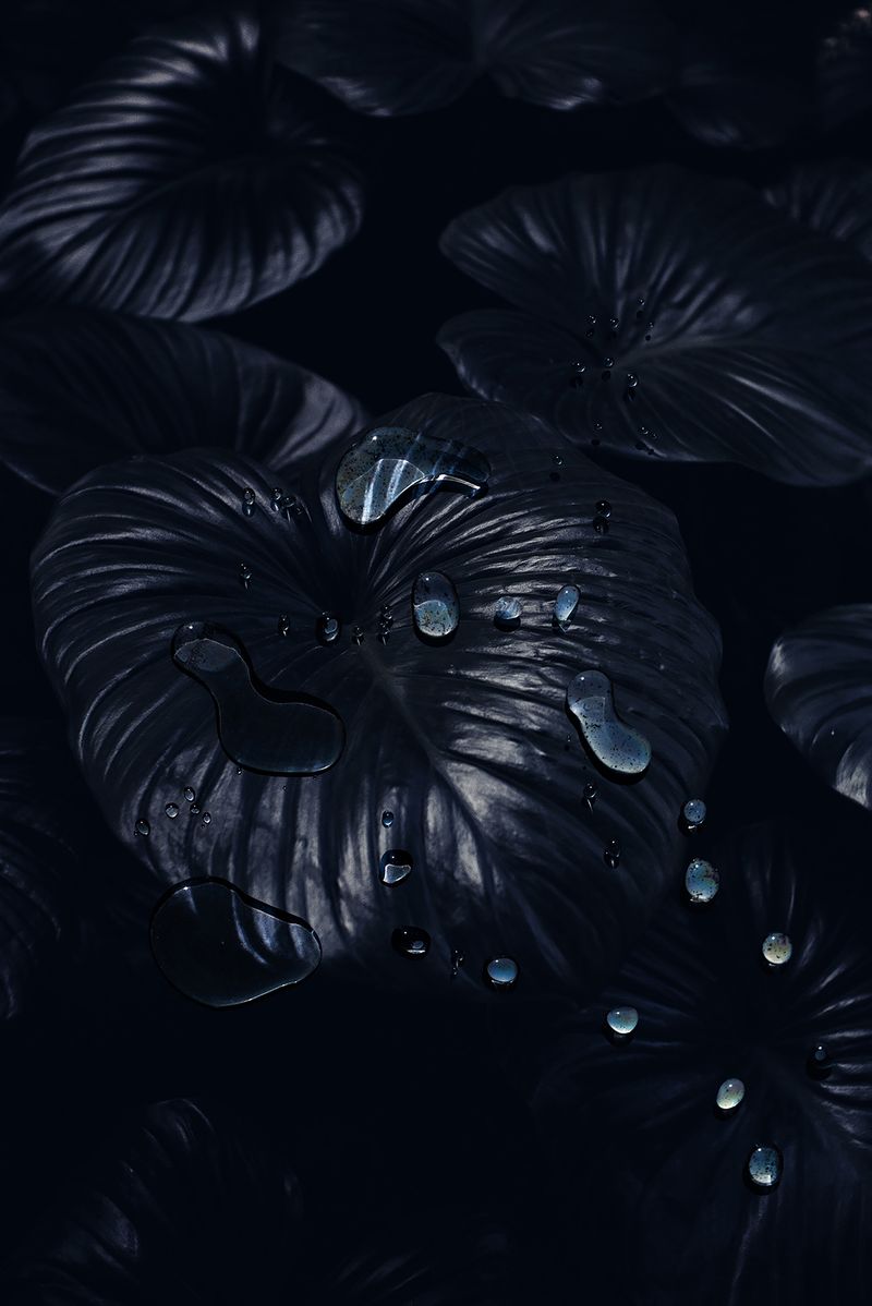 © Danielle Ezzo - A Cold Dark Lake, 2024