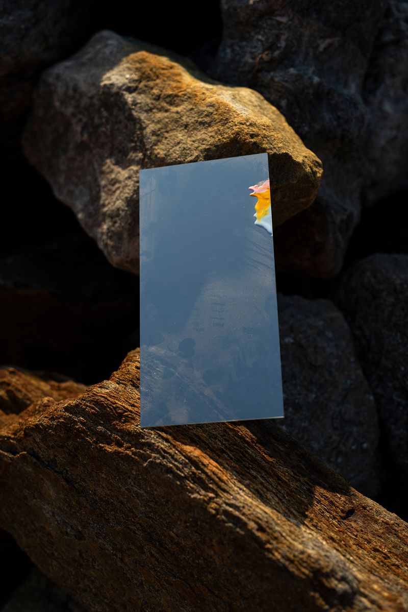 © Danielle Ezzo - Paint on Plexiglass