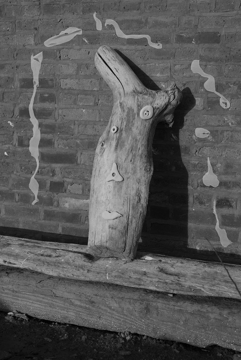 © Danielle Ezzo - A Stump With A Face Outside Of My Studio (Who else is working here?), 2024