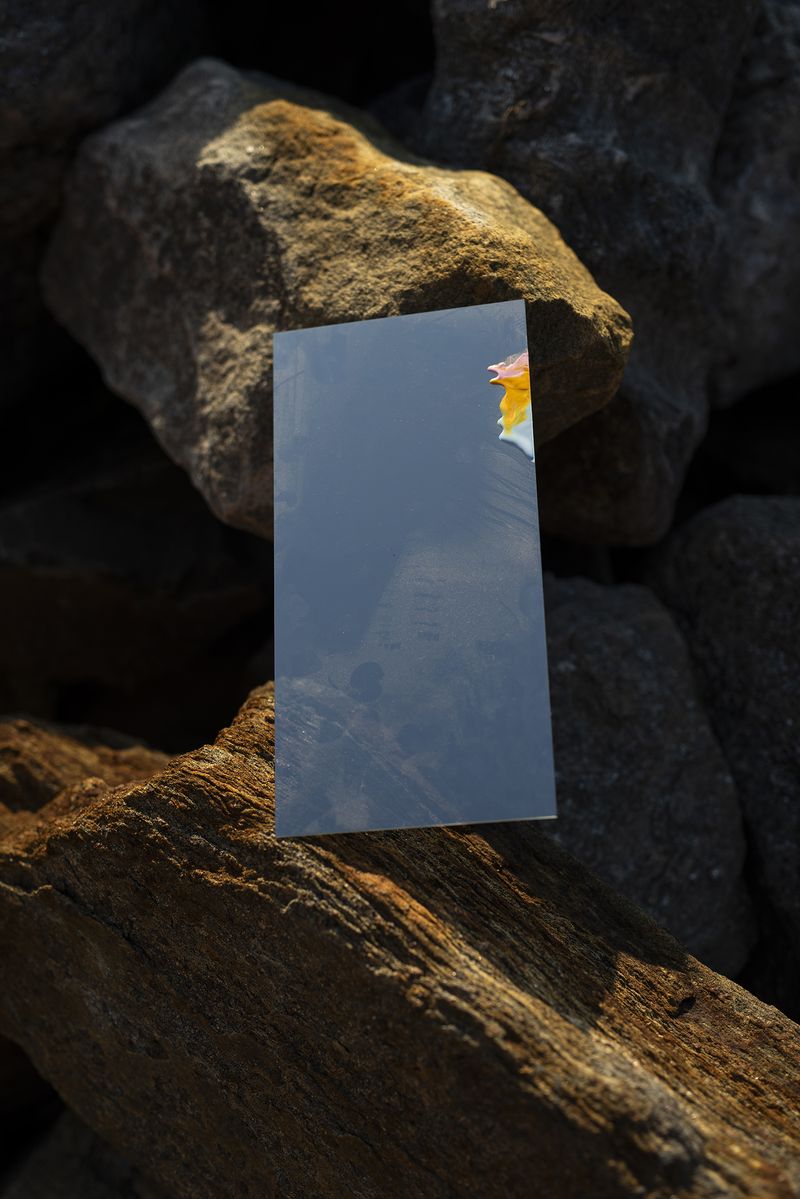 © Danielle Ezzo - Paint on Plexiglass, 2024