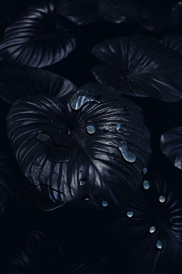 © Danielle Ezzo - A Cold Dark Lake, 2024
