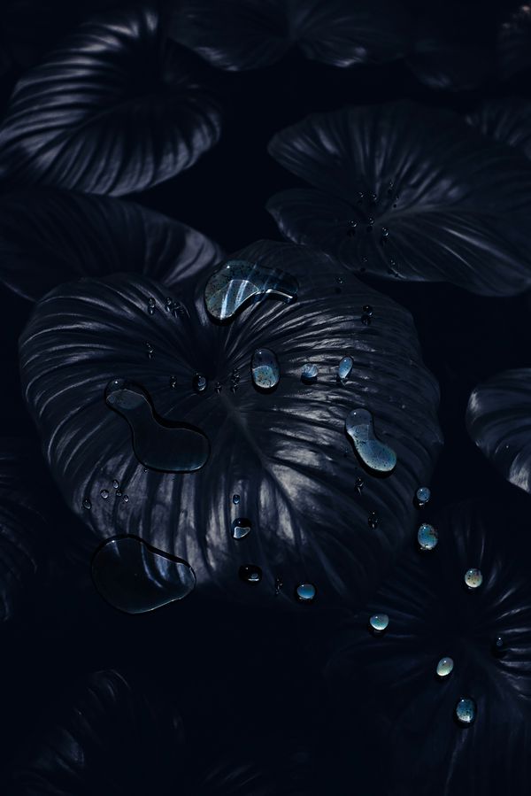 © Danielle Ezzo - Image from the Psychic Telephone photography project