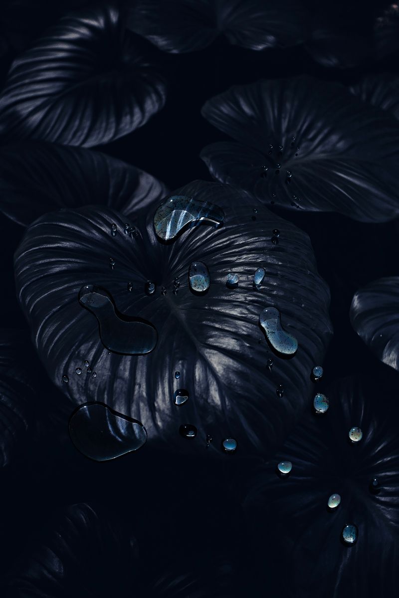 © Danielle Ezzo - Image from the Psychic Telephone photography project