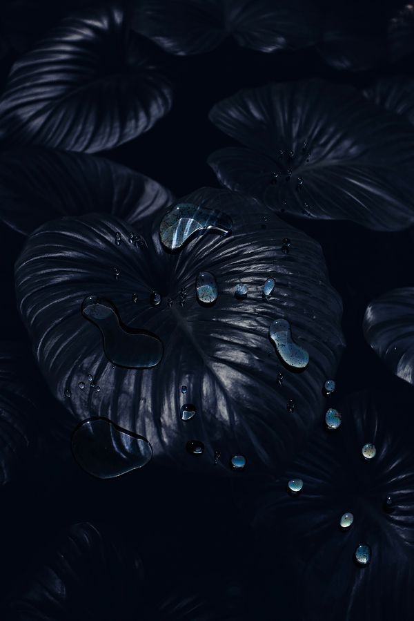 © Danielle Ezzo - A Cold Dark Lake, 2024