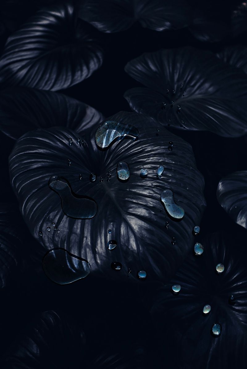 © Danielle Ezzo - A Cold Dark Lake, 2024