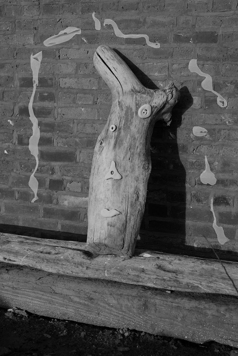 © Danielle Ezzo - A Stump With A Face Outside Of My Studio (Who else is working here?), 2024