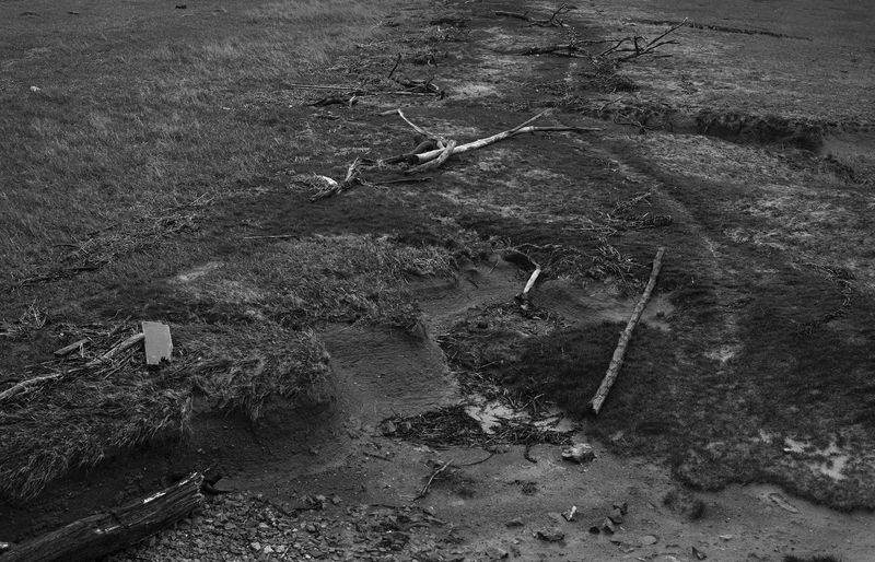 © Jamie House - Bank erosion river severn
