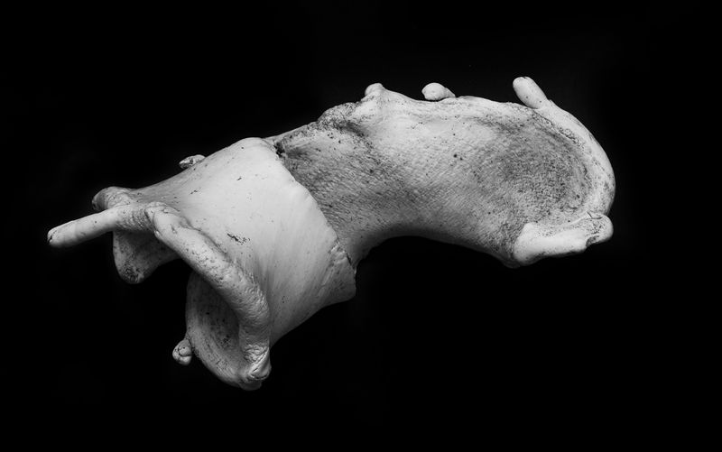 © Jamie House - Image from the 11 photography project