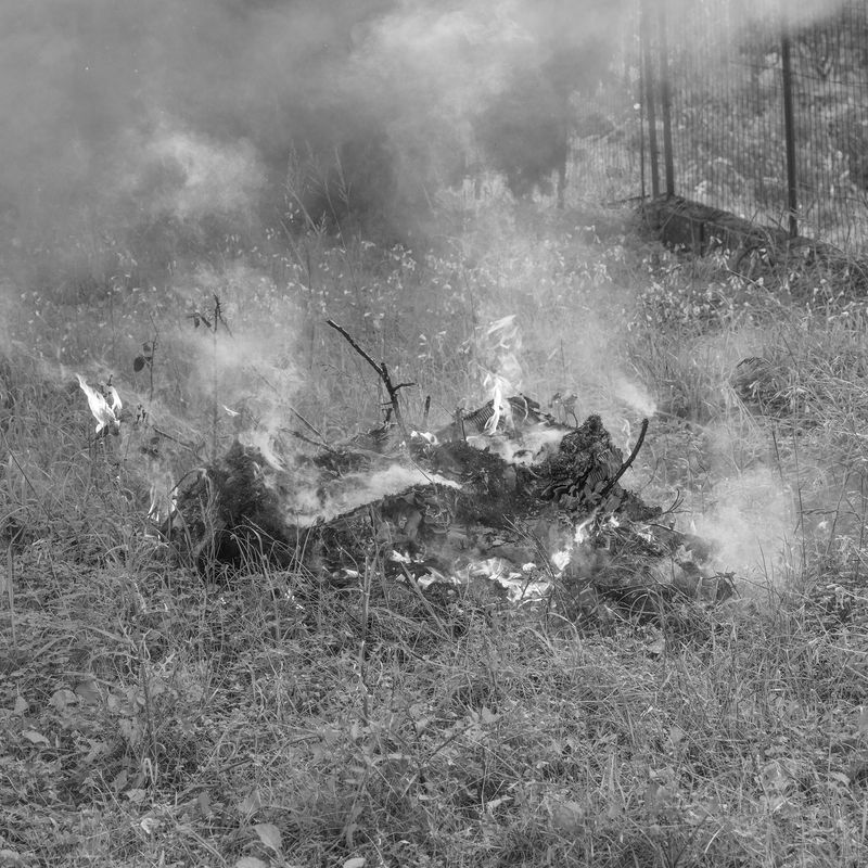 © Noemi Comi - Image from the Lupus Hominarius photography project