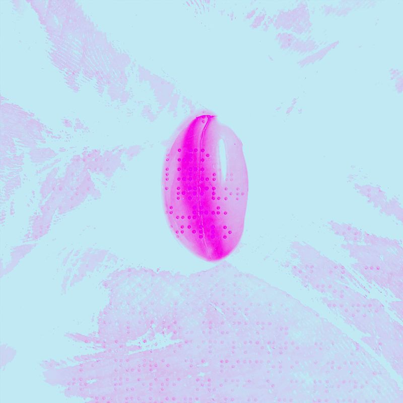 © Noemi Comi - Drugs that prevent human development have been designed to try to cure Lycanthropy.