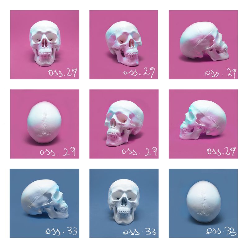 © Noemi Comi - Studies on the bone structure of people predisposed to turning into Werewolves.