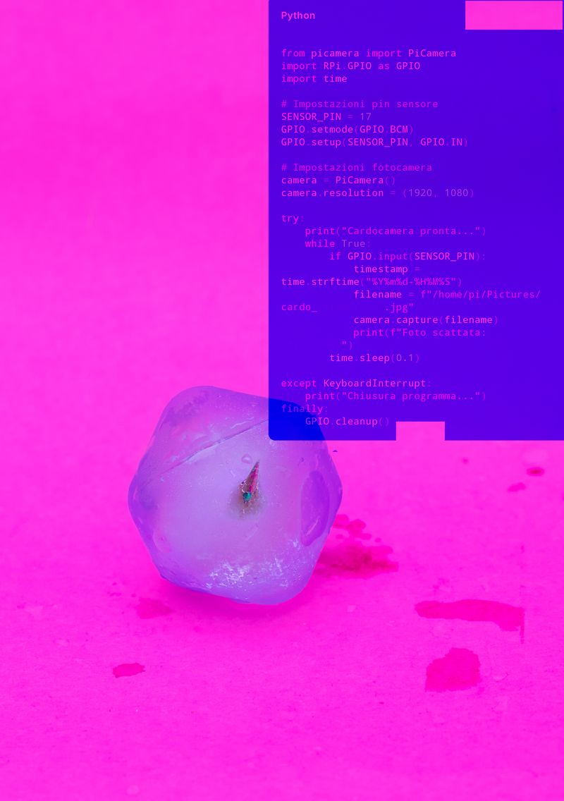 © Noemi Comi - Image from the Cibelis photography project