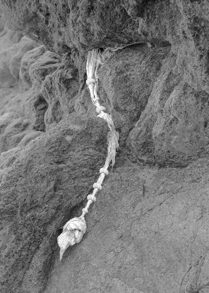 © Noemi Comi - Image from the Cibelis photography project