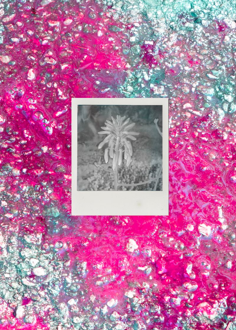 © Noemi Comi - Image from the Cibelis photography project