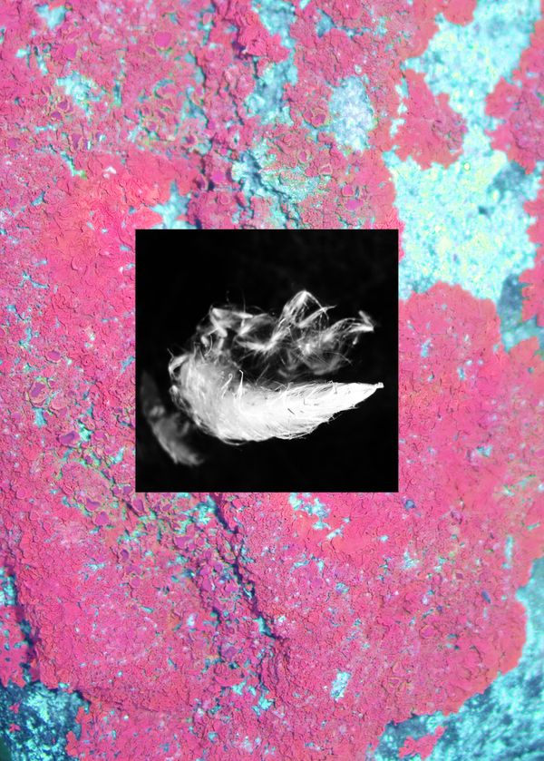 © Noemi Comi - Image from the Proxidium photography project