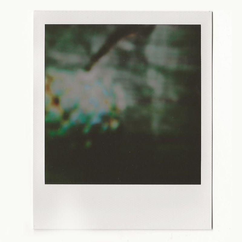 © Noemi Comi - Image from the Proxidium photography project