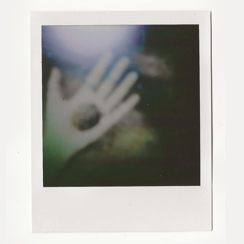 © Noemi Comi - Image from the Proxidium photography project