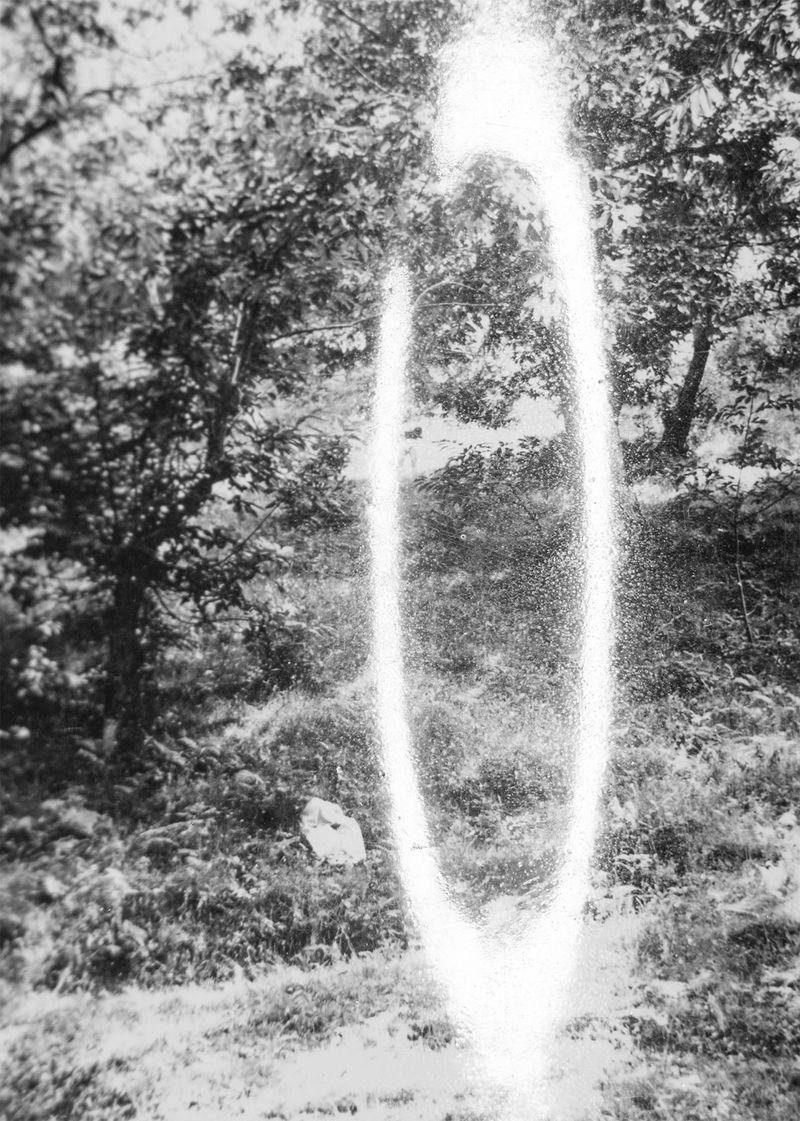 © Noemi Comi - Image from the Proxidium photography project