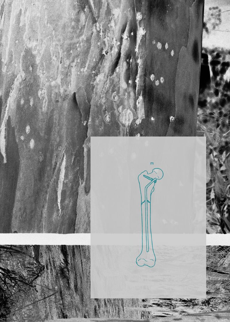 © Noemi Comi - Image from the Proxidium photography project