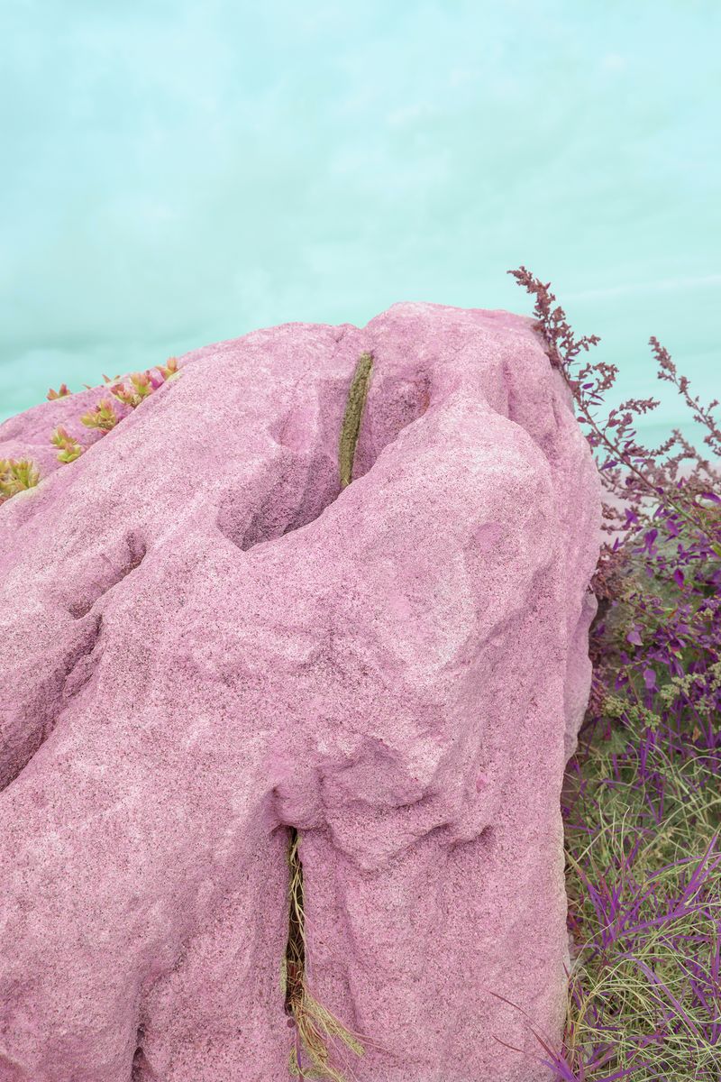 © Noemi Comi - Image from the Homo Saurus photography project