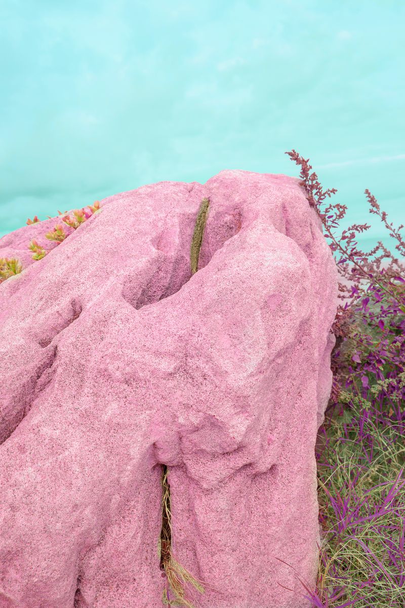 © Noemi Comi - Image from the Homo Saurus photography project