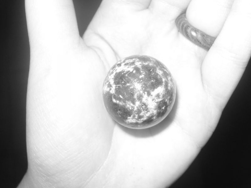 © Noemi Comi - Image from the Homo Saurus photography project