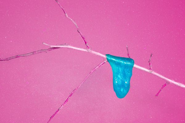 © Noemi Comi - Image from the Homo Saurus photography project