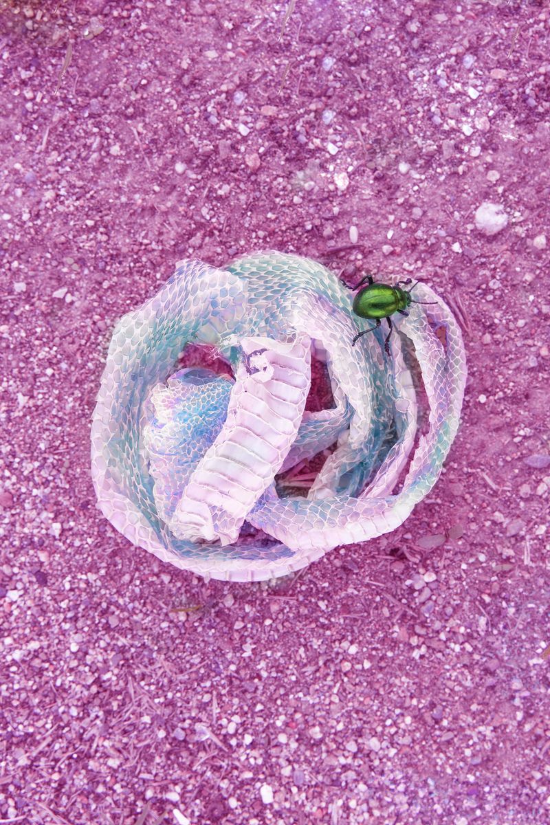 © Noemi Comi - Image from the Homo Saurus photography project