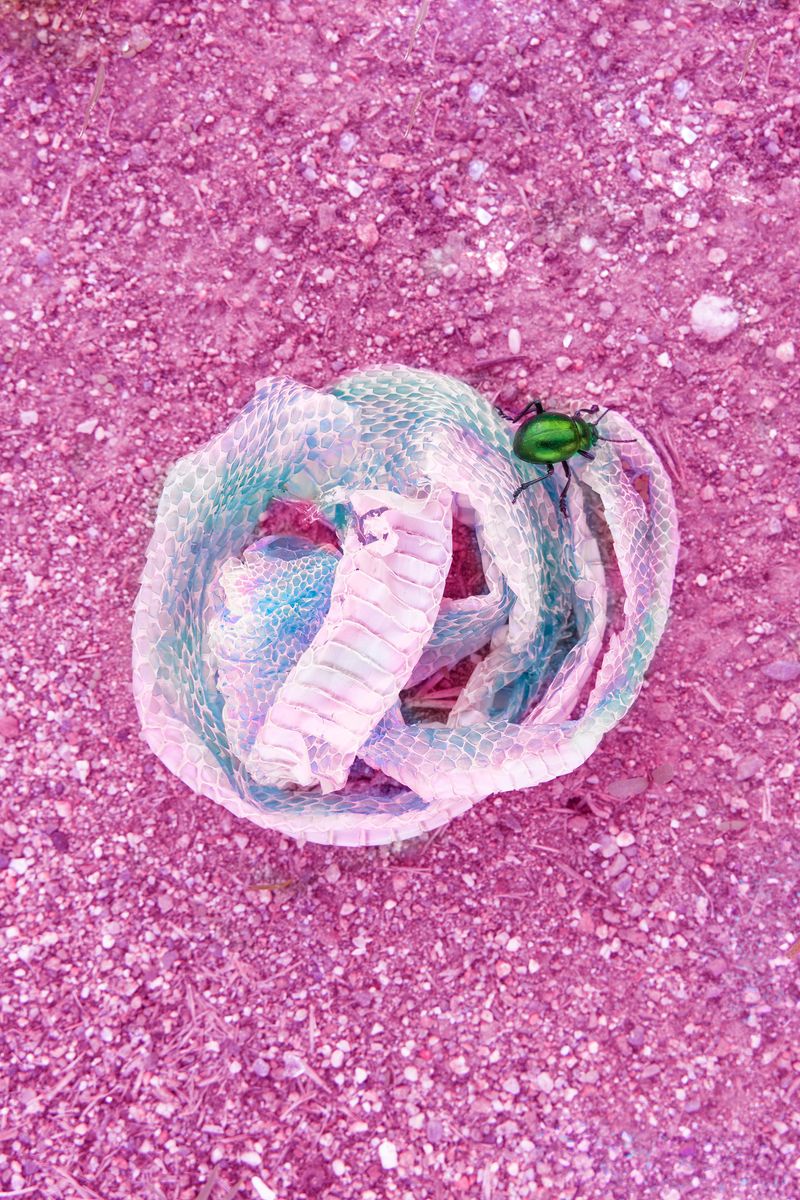 © Noemi Comi - Image from the Homo Saurus photography project