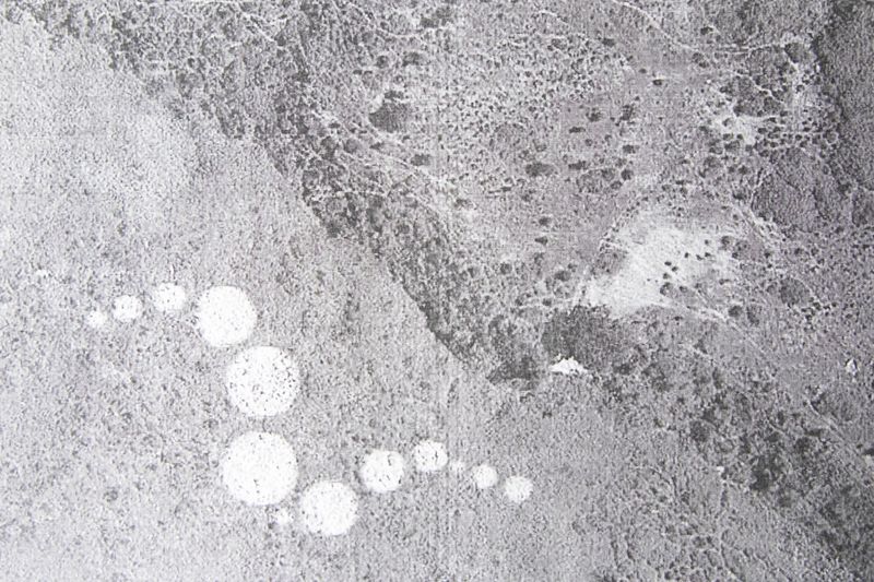 © Noemi Comi - Image from the Homo Saurus photography project