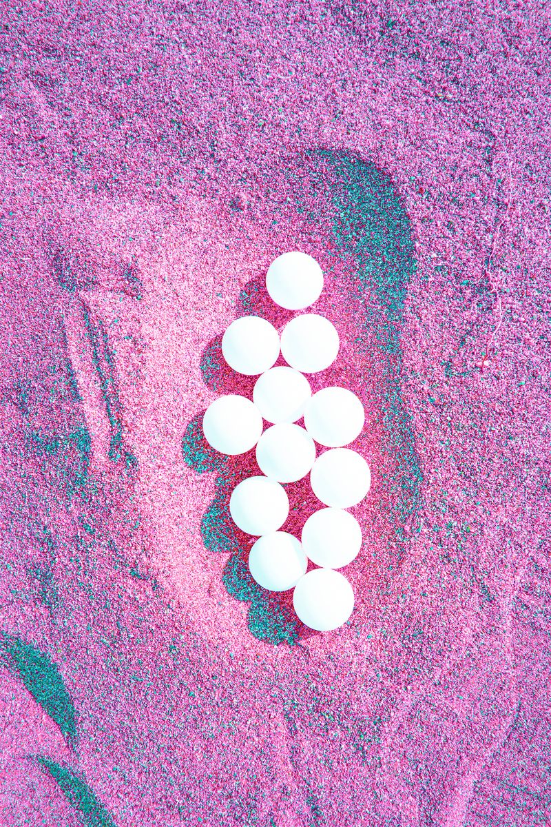 © Noemi Comi - Image from the Homo Saurus photography project