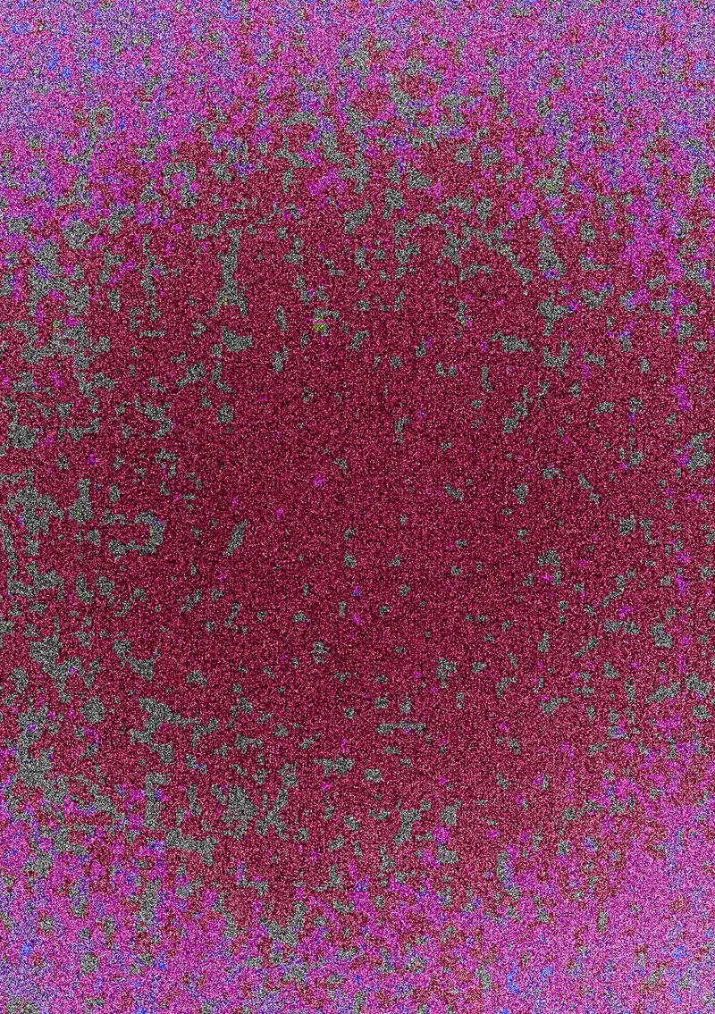 © Noemi Comi - This photograph was generated by the Cardo-Camera during an act of flagellation.