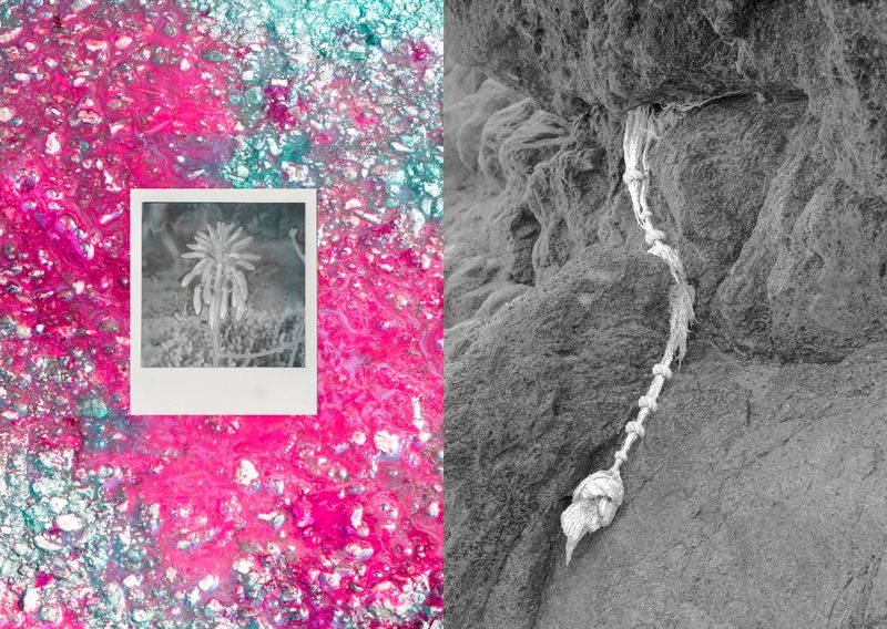 © Noemi Comi - Image from the Cibelis photography project