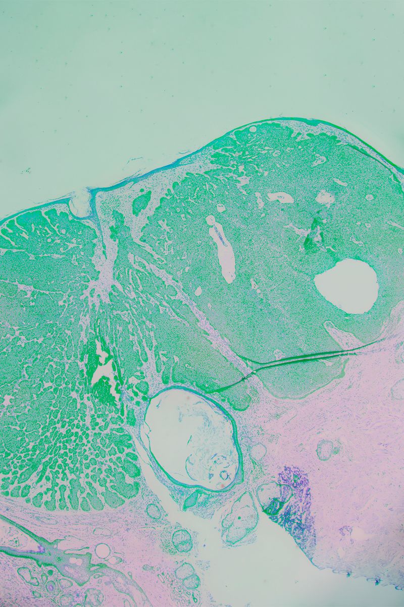 © Noemi Comi - Image from the Asfodeli di cartapesta photography project