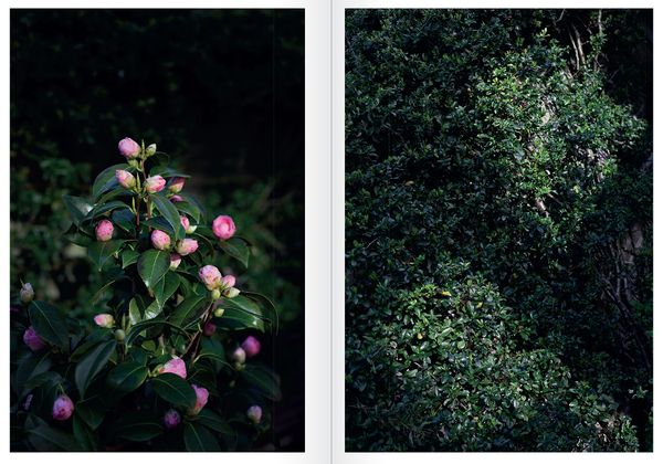 © Wiosna van Bon -  'Family Stranger’ book spread, The Eriskay Connection 2020