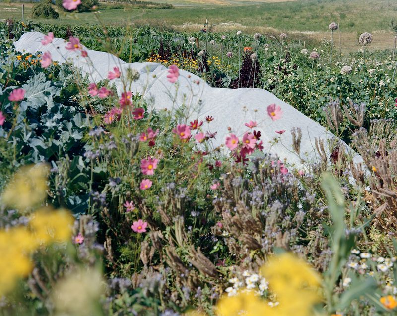 © Amrita Stützle - Image from the Maiden, Mother, Crone photography project