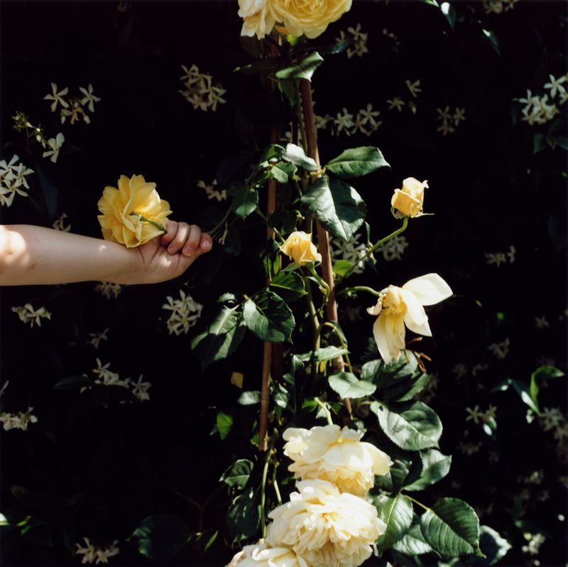 © Lydia Goldblatt - Image from the Fugue photography project