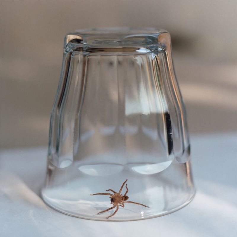 © Lydia Goldblatt - Image from the Fugue photography project