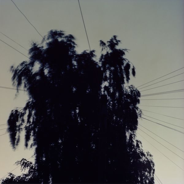 © Lydia Goldblatt - Image from the Fugue photography project