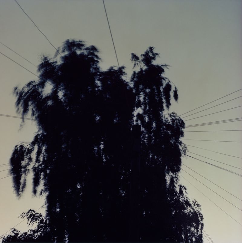 © Lydia Goldblatt - Image from the Fugue photography project