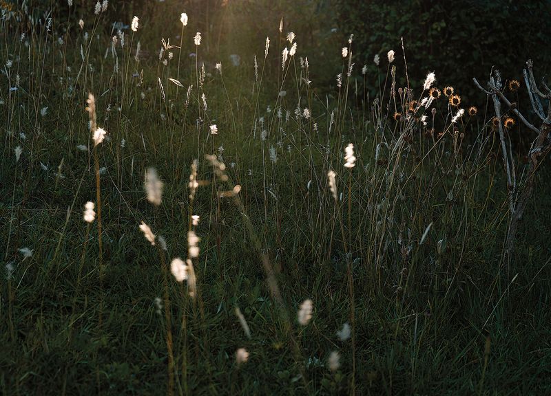 © Leticia Bernaus - Image from the Love too much, love at all photography project