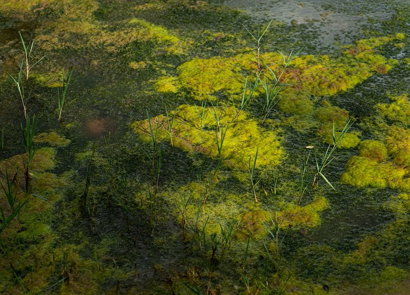 © Leticia Bernaus - Image from the Love too much, love at all photography project