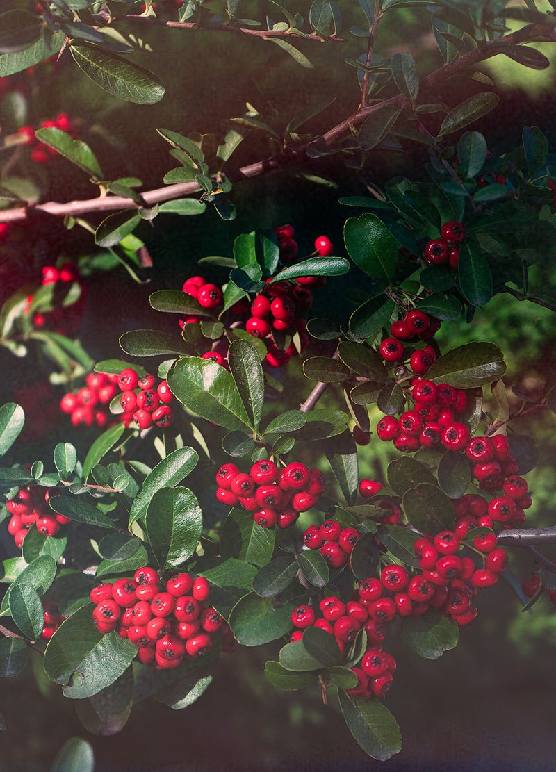 © Leticia Bernaus - Image from the Love too much, love at all photography project