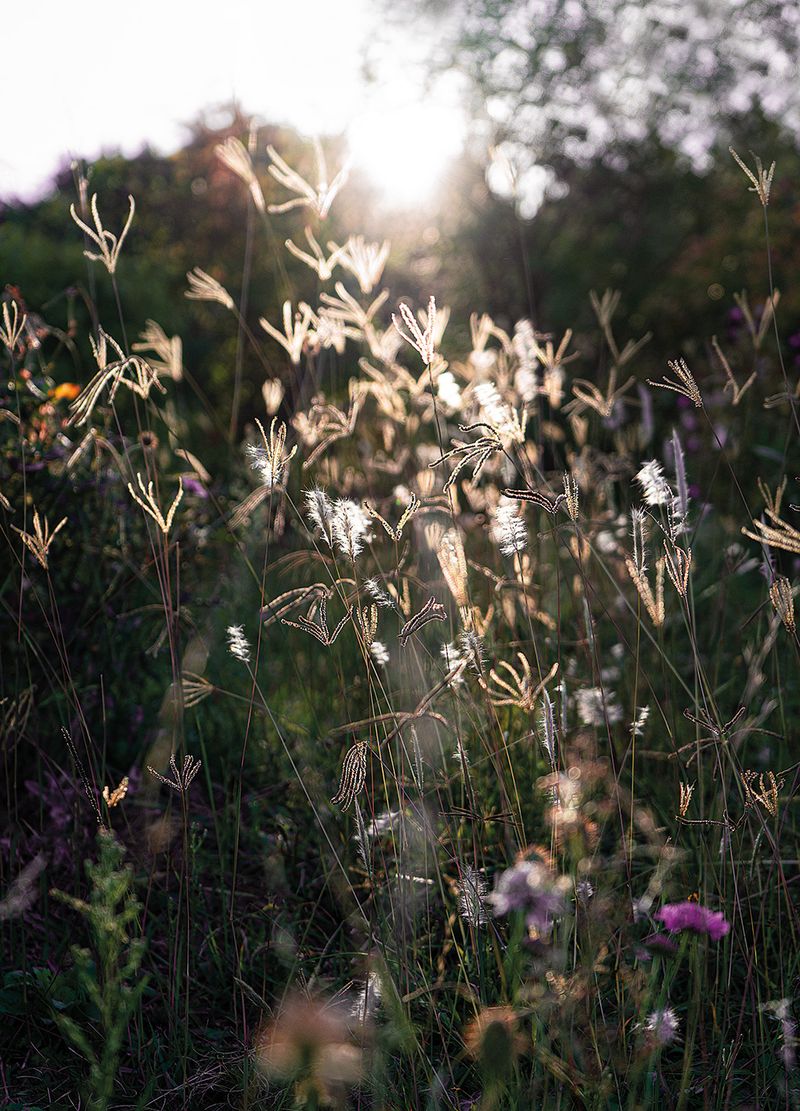 © Leticia Bernaus - Image from the Love too much, love at all photography project
