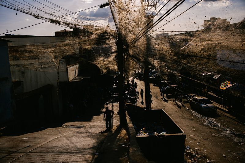 © José Sarmento  Matos - Image from the Where do I belong? Abandoning the Venezuelan Dream. photography project