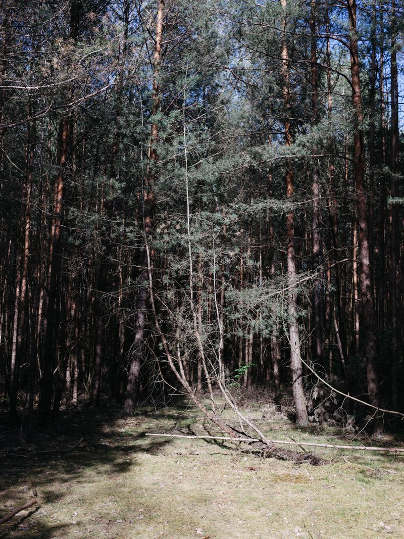 © Katrin Streicher - Image from the Counting days and bees photography project