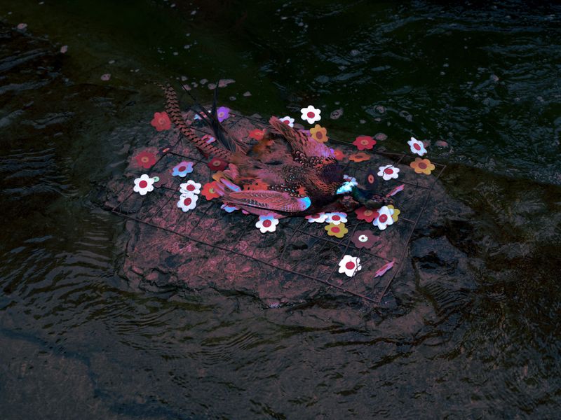 © Wenkai Wang - Ever tried. Ever failed. No matter. Try Again. Fail again. Fail better.