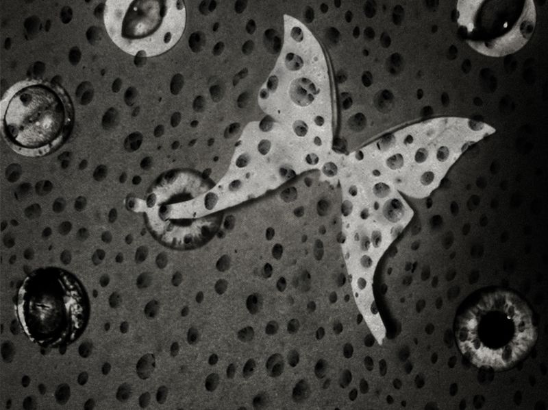 © Wenkai Wang - Image from the Somnia photography project