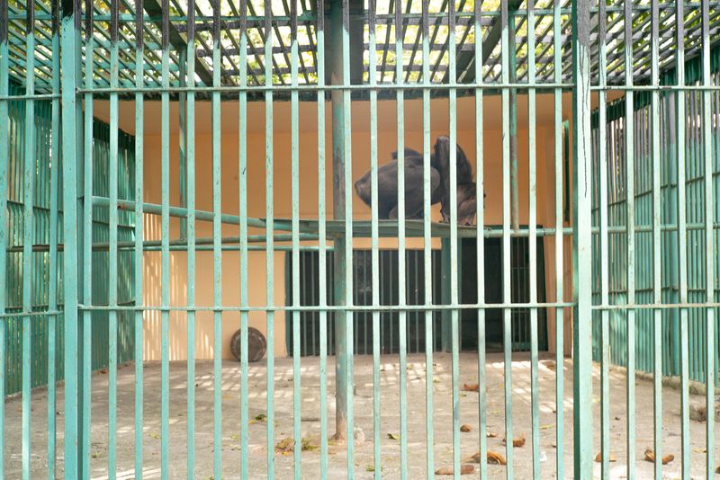 © Wenkai Wang - Image from the Day for Night photography project